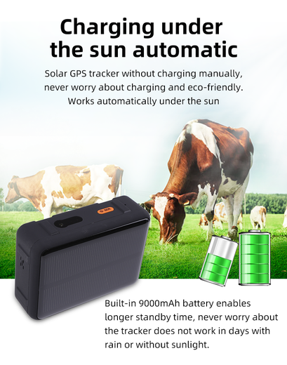 The High Quality Cheap  4G long Battery RF-V44 CowGPS Tracking Device For Temperature Accuracy And Solar Power Waterproof Real-time GPS Tracking System Made In China Factory